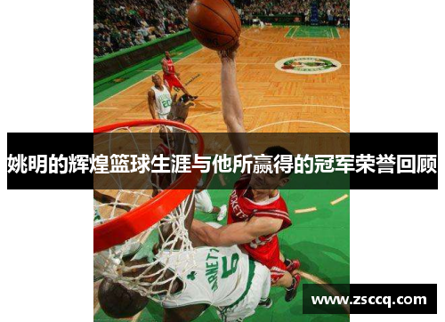 姚明的辉煌篮球生涯与他所赢得的冠军荣誉回顾